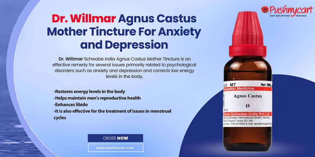 Dr. Willmar Agnus Castus Mother Tincture For Anxiety and Depression