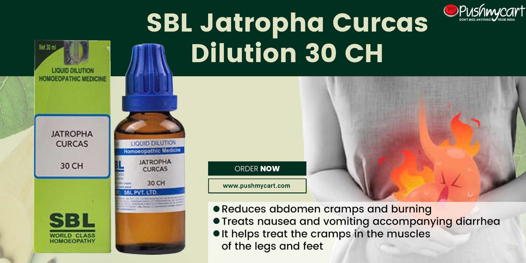 SBL Jatropha Curcas Dilution for Diarrhea and Abdominal Problems