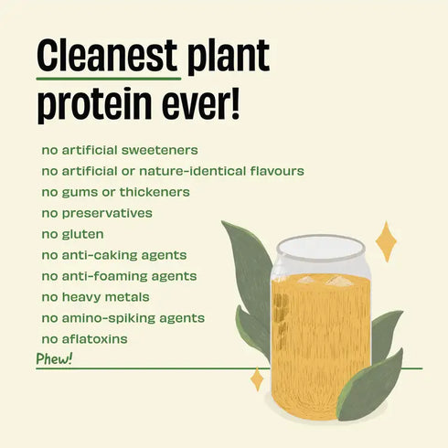 Whole The Truth Pista Badaam 24g Plant Protein
