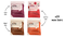 Whole The Truth Personalised Box - Pack of 24 Mini Protein Bars
