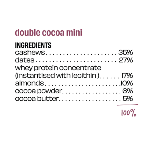 Whole The Truth Double Cocoa Mini Protein Bars