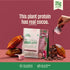 Whole The Truth Double Cocoa 25g Plant Protein