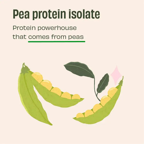 Whole The Truth Pista Badaam 24g Plant Protein