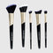 Colors Queen Pro Beauty Essentials 5 pc Brush Set