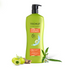Vasuestore Trichup Hair Fall Control Natural Shampoo