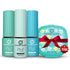 Colors Queen Nail Paint Set of 3 – Free Remover Pads