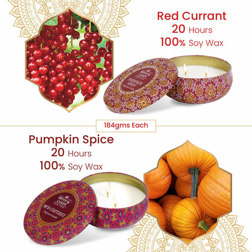 Bryan & Candy Pumpkin Spice Red Currant Candle 184 GM pack of 2
