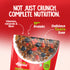 Alpino Protein Rich Super Corn Flakes Chocolate