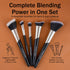 Colors Queen Pro Beauty Essentials 5 pc Brush Set