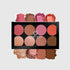 Colors Queen Ultra Professional Blush Palette | 20 Gram
