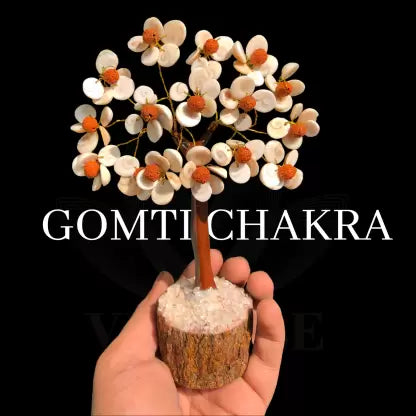 Gomti Chakra Tree With Rudraksh 15cm