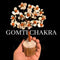 Gomti Chakra Tree With Rudraksh 15cm