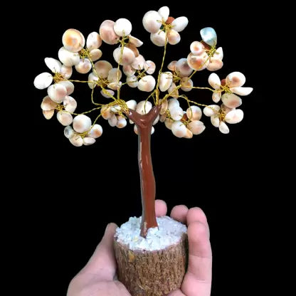 Gomti Chakra Tree With Rudraksh 15cm