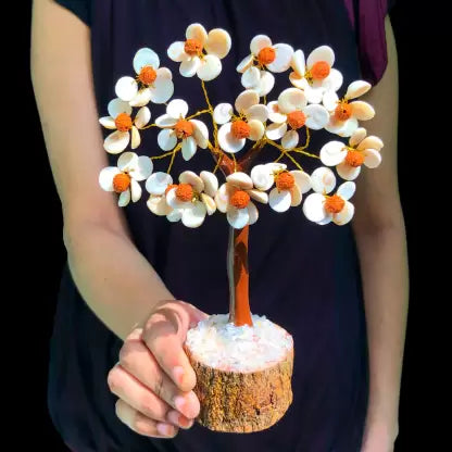Gomti Chakra Tree With Rudraksh 15cm