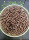 Prakruthi Ragi Chegodi