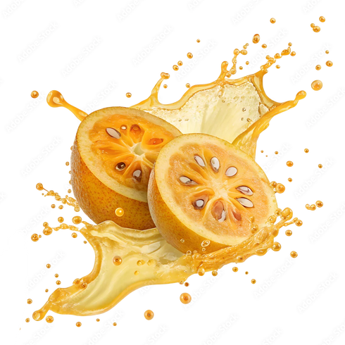 Fresh Bael Fruit