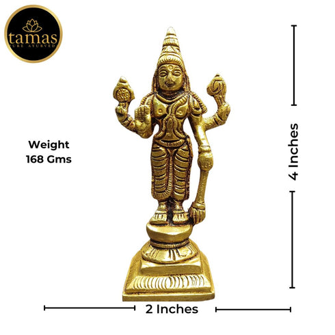 Tamas Brass Standing Lord Vishnu Statue/Idol