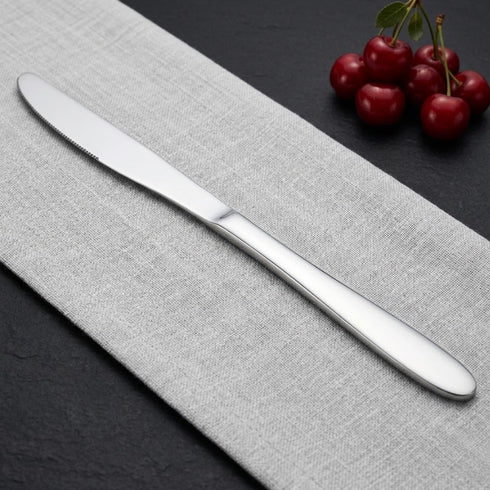 Vinod Florence Stainless Steel Dinner Knife Set of 6 Piece Heavy Gauge Steel Mirror Finish Rust Free Tough Strong and Durable