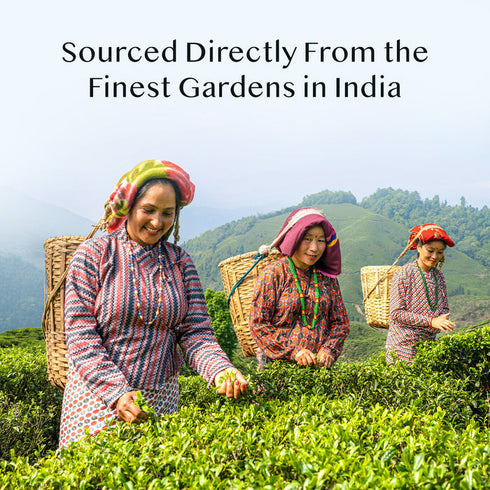 Vahdam Imperial Himalayan White Tea|15 Count