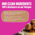 Early Foods Jowar Choco Chip A2 Ghee Laddoo