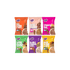 Early Foods Trial Pack of 6 Porridge Mix Stage 2