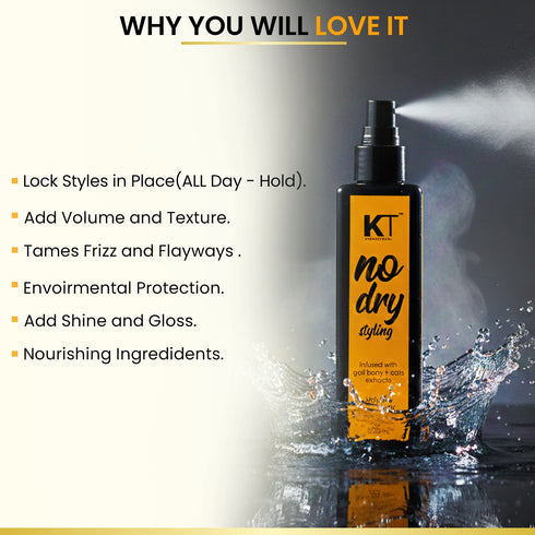Kt Professional No Dry Styling Moisture Mist Hair Spray & Heat Protector
