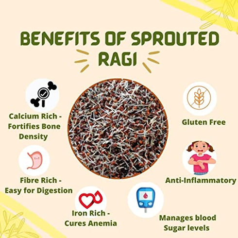 Sprout Feast Sprouted Ragi Flour