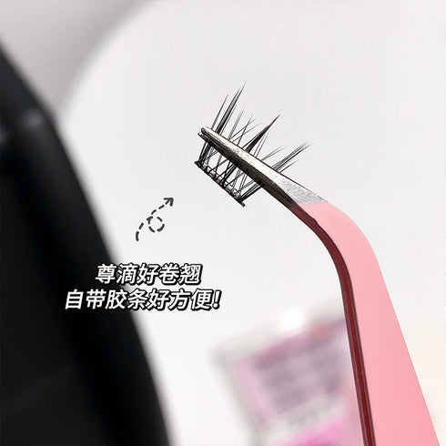 Gege Bear Twelve Constellation Series False Eyelashes