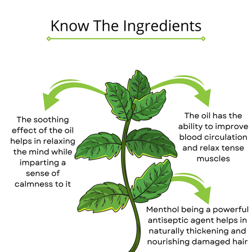 Omorfee India Peppermint Essential Oil