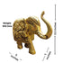 Tamas Brass Well Designed Elephant Statue/Idol