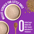 Early Foods Trial Pack Bajra and Pumpkin Seeds Porridge Mix