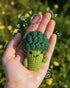 Ecoright Static Bloom Gift Hamper