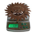 Copper Sun Idol Wall Hanging 134g Pack of 1