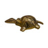 Small Brass Tortoise Decor 148g