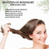 Indiana Rosemary Dried Leaves with Applicator For Hair Growth 100g