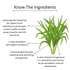 Omorfee India Lemongrass Essential Oil