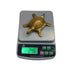 Brass Kachua Vastu Item 246g