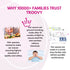 The Healthy Tiffin Meal Combo