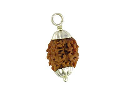 Patanjali 2 Mukhi Rudraksha With Golden Cap