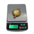 Decorative Brass Kachua with Glass 105g (Pack of 2)