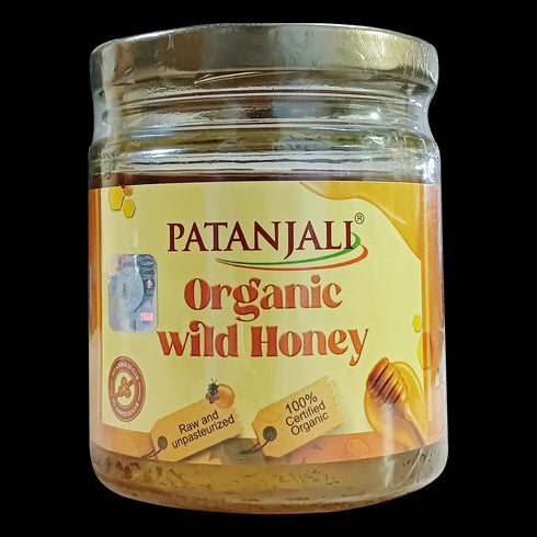 Patanjali Organic Wild Honey - 200g