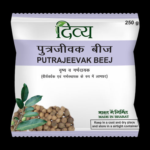 Patanjali Divya Putrajeevak Beej 250g