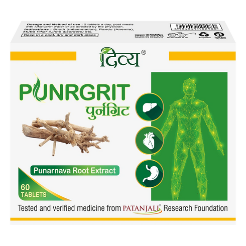 Patanjali Divya Punrgrit 3 U X 20 N
