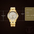 Titan Karishma Quartz Analog Champagne Dial Stainless Steel Strap Watch for Men