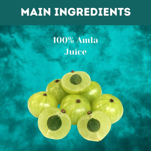 Herbal Hills Amla Swaras Health Juice