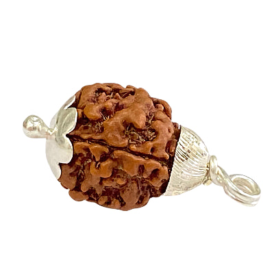 Natural Rudraksha With Silver Plated Capping Lab Tested
