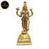 Tamas Brass Vishnu Ji Statue