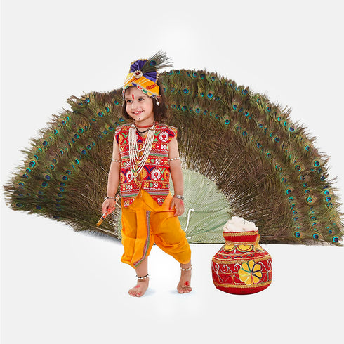 Raj Fancy Dresses Radha and Krishna Multicolor| Jacket Brocade Fabric Janmashtami Mythological Character Costume