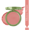 LoveChild Silence Please | Cheek Flick Mattifying Powder Blush Reddish Brown