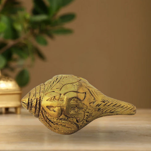 Brass Shank Conch 0.12Kg